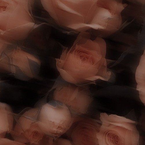 what secrets you hide